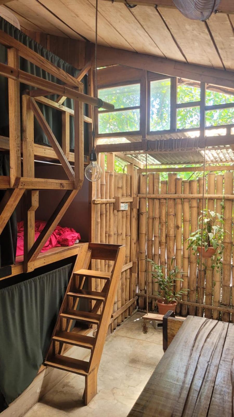 Roots Family Hostel Puerto Viejo de Talamanca Kültér fotó