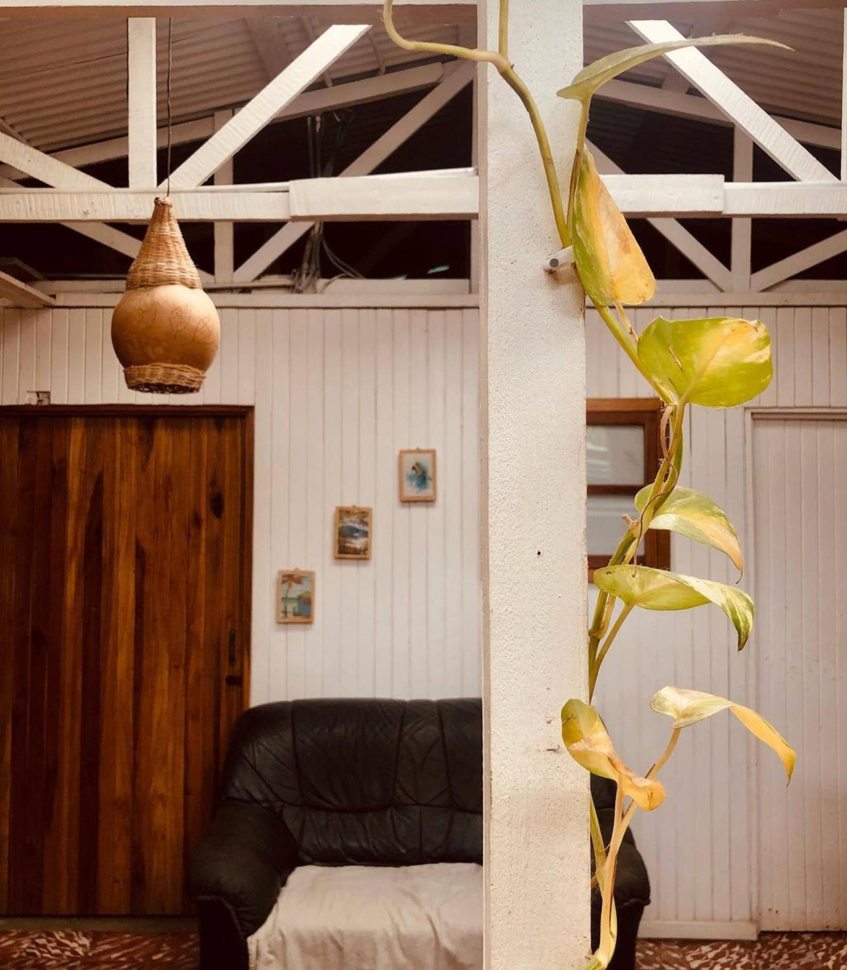 Roots Family Hostel Puerto Viejo de Talamanca Kültér fotó